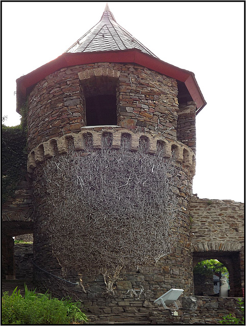 Burg Thurant 150