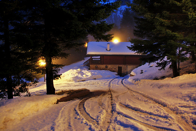 Snowy Parnassus!