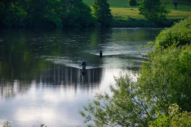 Fly fishing on the Tweed