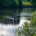 Fly fishing on the Tweed
