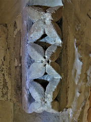 torre abbey, devon , c13 dogtooth