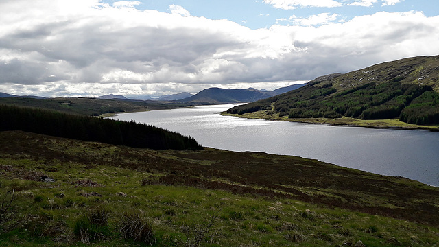 Loch Loyne from the A87  23rd May 2022.