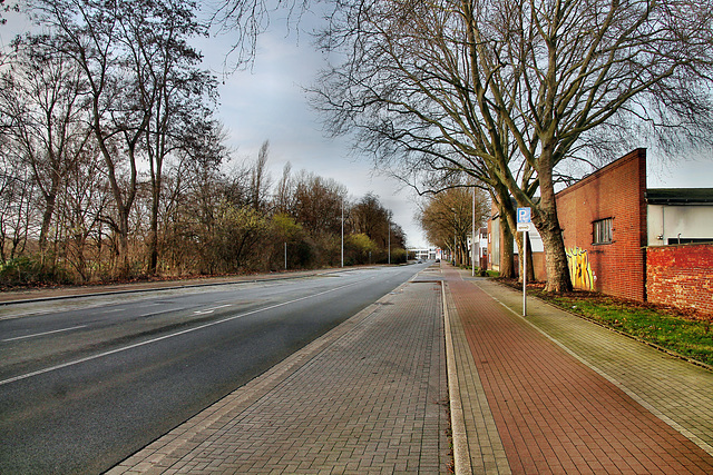 Ruhrorter Straße (Mülheim-Speldorf) / 7.01.2023