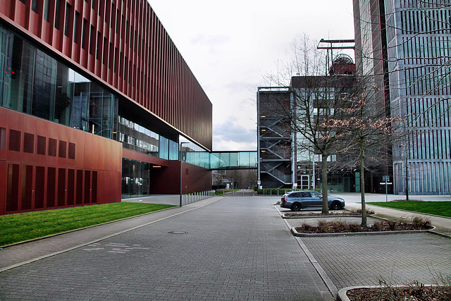 Fritz-Schupp-Straße bei der ehem. Zeche Nordstern 1/2 (Nordsternpark, Gelsenkirchen-Horst) / 2.03.2024