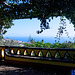 Jardim Botânico da Madeira (© Buelipix)
