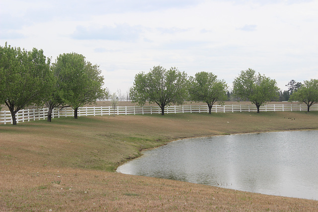 HFF...Lovely farm in Rural Georgia,  USA