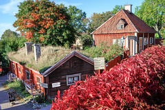 Skansen (1)