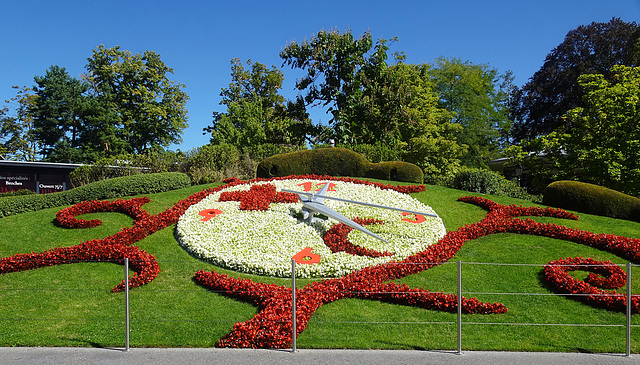 L'Horloge Fleurie - Blumenuhr beim Genfer Schiffsanleger