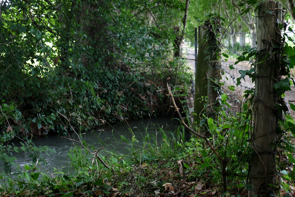 fencing the creek