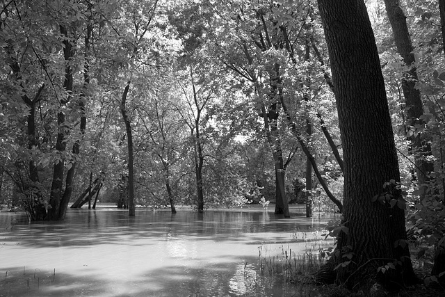 rivière du chêne, St-Eustache