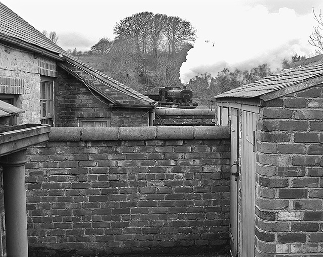 Steam in the backyard Steam in the backyard