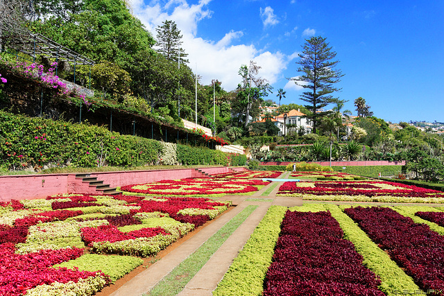 Jardim Botânico da Madeira (© Buelipix)