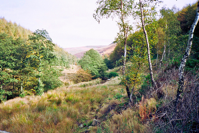 Looking westward along Abbey Brook from Derwent Reservoir (Scan from 1989)