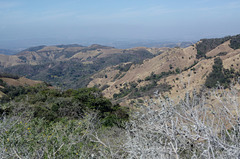 Rugged landscape