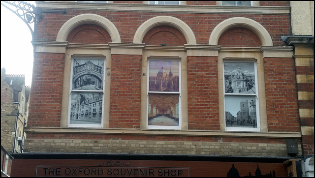 Oxford window blinds