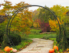 Autumn Arch