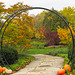 Autumn Arch