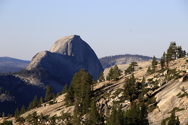 Half Dome from Olmstead Point