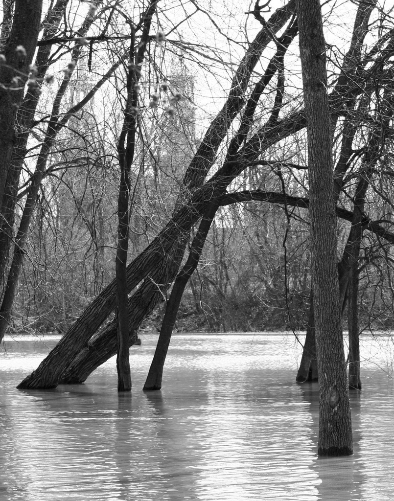 rivière du chêne, St-Eustache