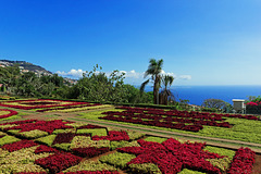 Jardim Botânico da Madeira (© Buelipix)