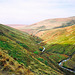 Looking back down Abbey Brook on its way to Derwent Reservoir (Scan from 1989)