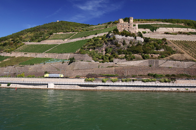 Rüdesheim - Burg Ehrenfels (01)