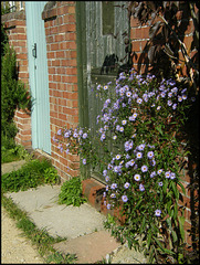 daisies by the door