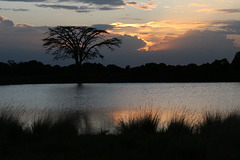 Nighttime at Ol Pejeta