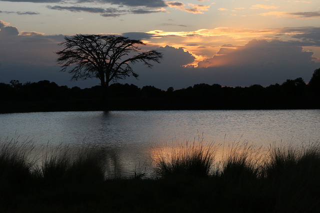 Nighttime at Ol Pejeta