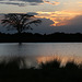 Nighttime at Ol Pejeta