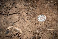 Bière du terroir au frais