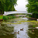 River Sow, Stafford