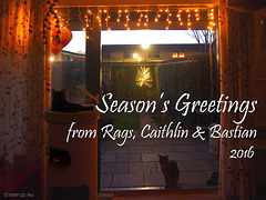 From us to you - Season's Greetings