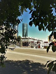 Four Towers, Chamartin and grafitti, and HIBIO! HEY Everone! Y0 tampoco (me neither)!