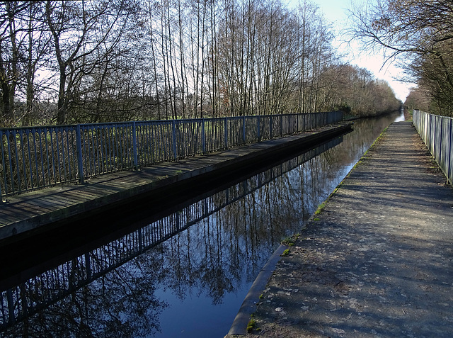 HFF from Shropshire.  Montgomery Canal walk.