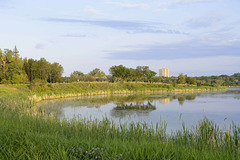 joggers at Wascana Park