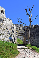 Ehrenberg Castle (2)