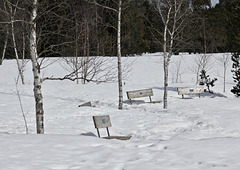 Bänke an einem Hochmoorsee