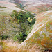 Gravy Clough running down into Abbey Brook (Scan from 1989)