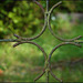 Lines-and-Curves-Fence