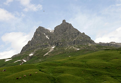 Bergspitze des Widderstein-Schröcken