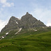 Bergspitze des Widderstein-Schröcken