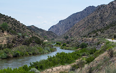 Rio Grande Gorge (unexpected) (# 0967)