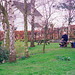 Small pool at Stockwell Heath (Scan from 1999)