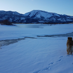 20190206 170206 001 20190206 170206 001