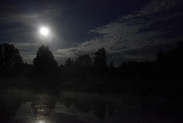 In the moonlight