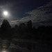 In the moonlight