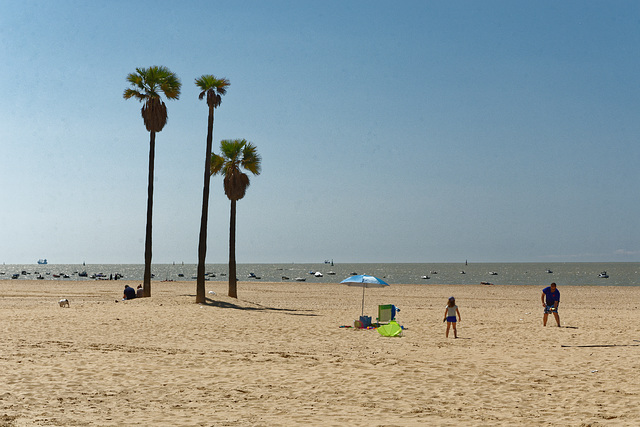 A l'embouchure à Sanlucar de Barrameda