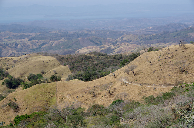 Gulf of Nicoya in the distance