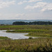 Burton wetlands3